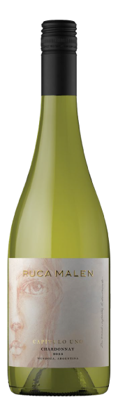 Ruca Malen Capitulo 1 - Chardonnay - 750 Ml