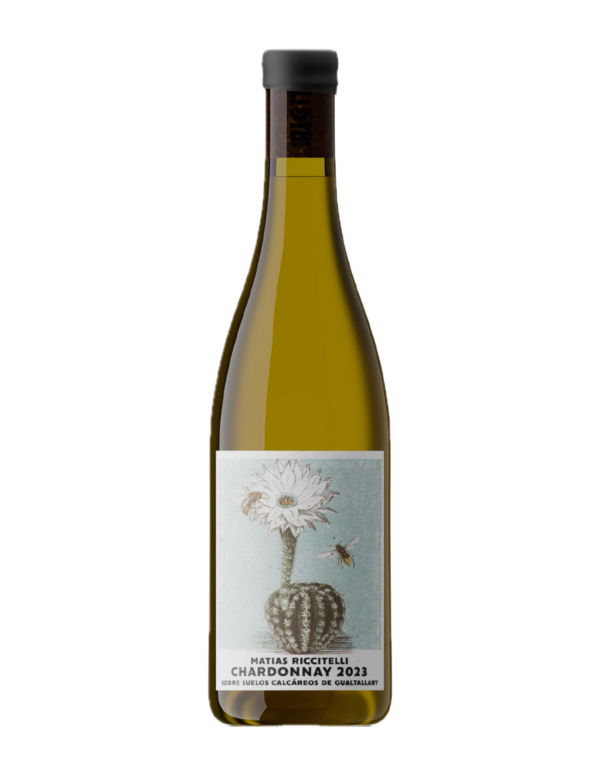 Gualtallary Suelos Calcáreos - Chardonnay - 2024 - 750 Ml