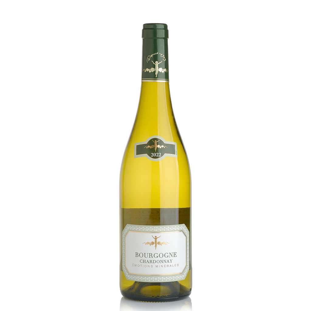 La Chablisienne Bourgogne Chardonnay 2023 750 Ml: imagen 1