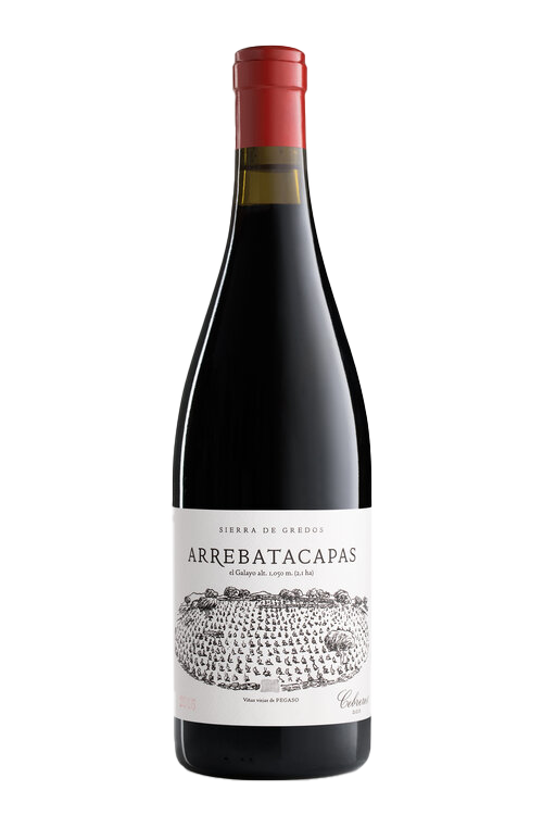 Telmo Rodriguez Pegaso Arrebatacapas 2021 750 Ml