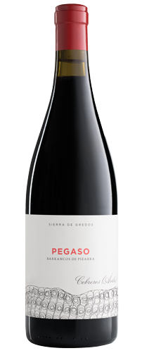 Telmo Rodriguez Pegaso Pizarra 2021 750 Ml